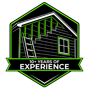 10+ Years of Experience badge